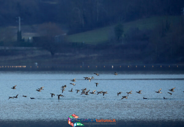 Lago di Canterno