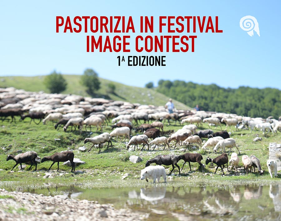 Pastorizia in Festival Image Contest