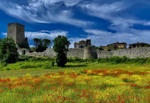 Ciociaria Acropoli di Civitavecchia