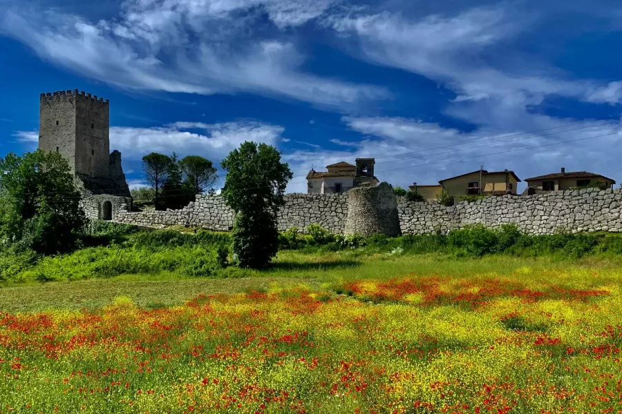 Ciociaria Acropoli di Civitavecchia