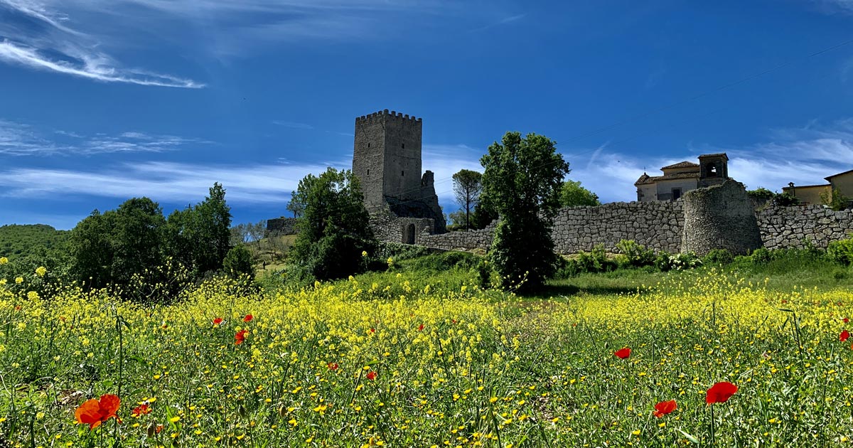 Il Gonfalone di Arpino