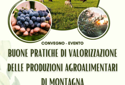 Video dell'edizione 2019 del Gonfalone di Arpino