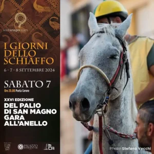 Palio San Magno 2024