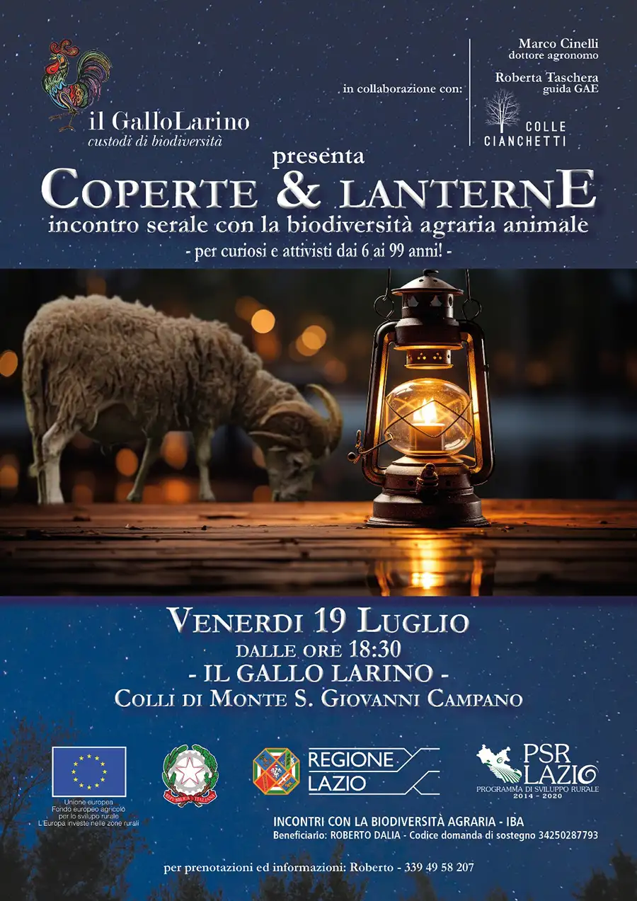 Coperte & Lanterne 2024