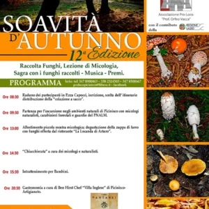 Soavità d'Autunno 2024