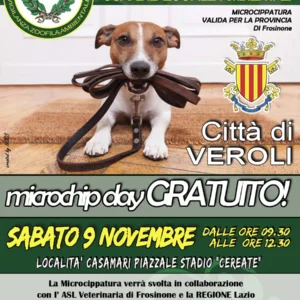 Microchip day gratuito a Veroli 2024