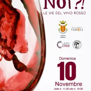 Wine Not?! Le Vie del Vino Rosso 2024