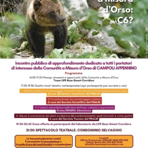 Comunità a Misura d’Orso