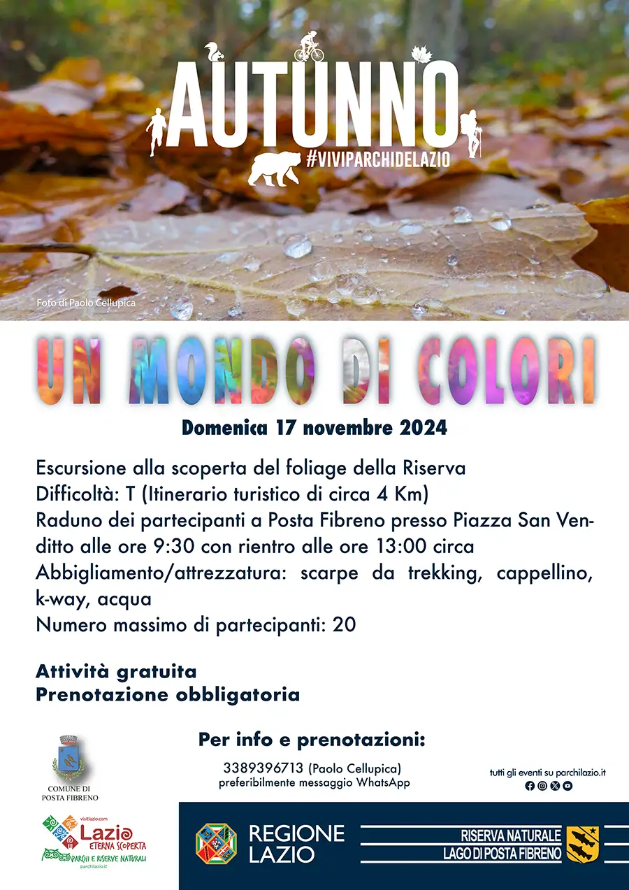 Un Mondo di Colori