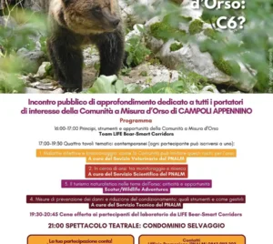 Comunità a Misura d’Orso