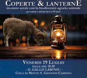 Coperte & Lanterne 2024