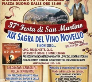 Festa di San Martino e Sagra del Vino Novello 2024