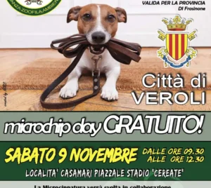 Microchip day gratuito a Veroli 2024