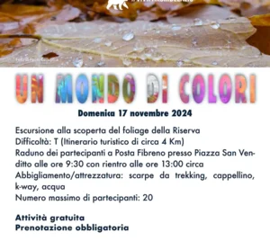 Un Mondo di Colori