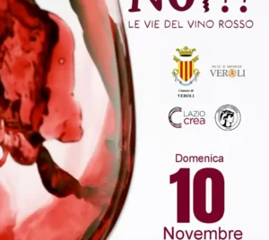 Wine Not?! Le Vie del Vino Rosso 2024